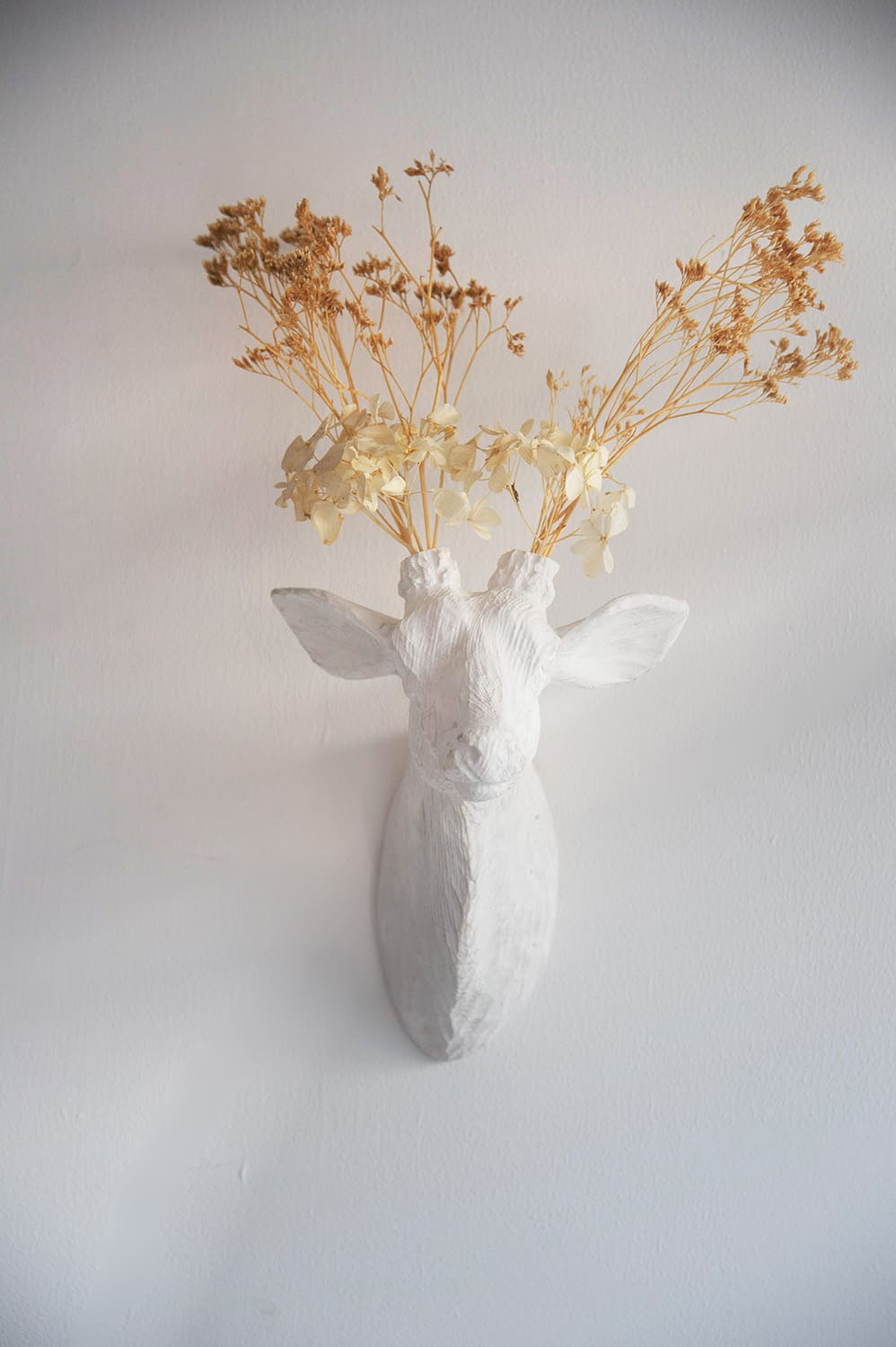 Deer Head